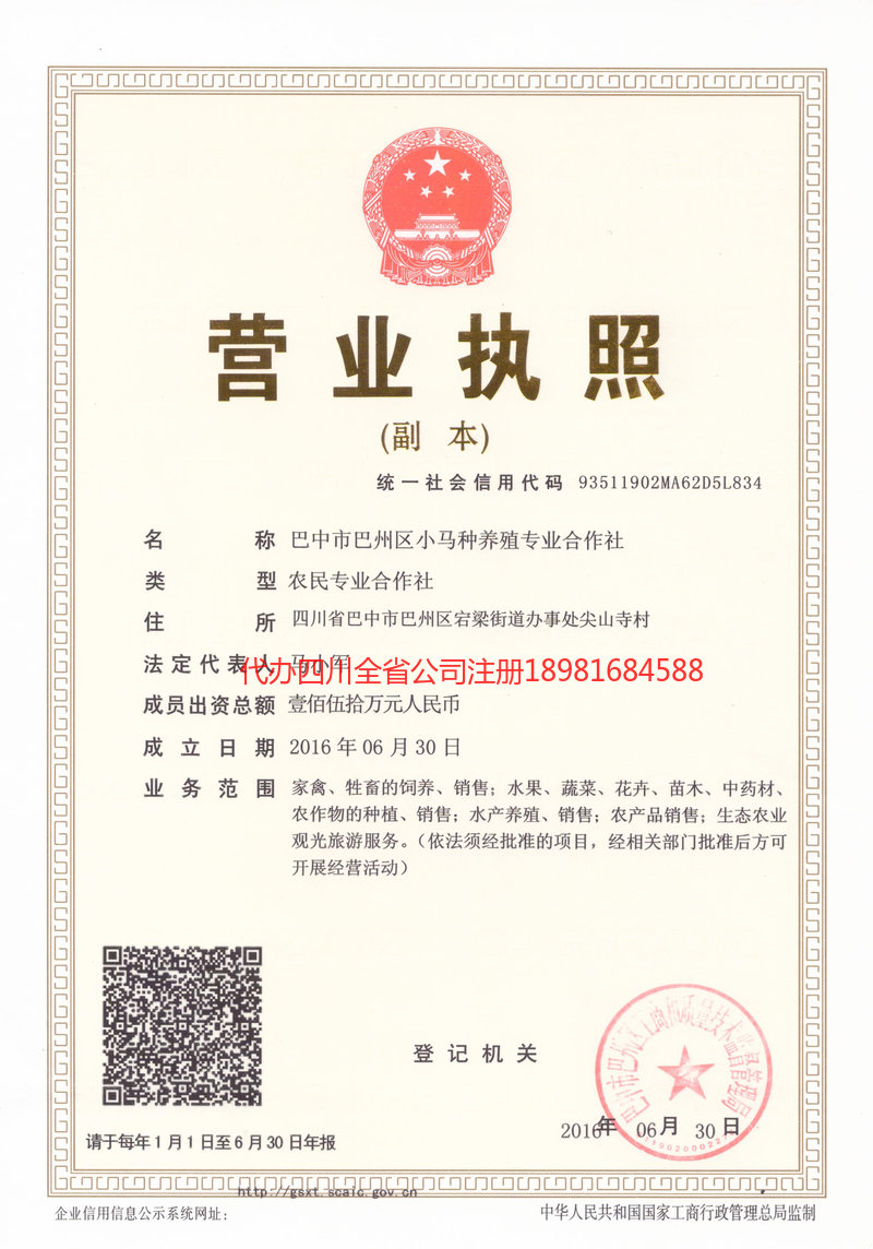 三台三台小马种养殖专业合作社